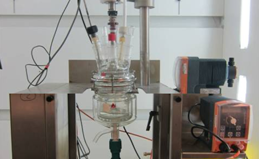 0.5L calorimeter reactor